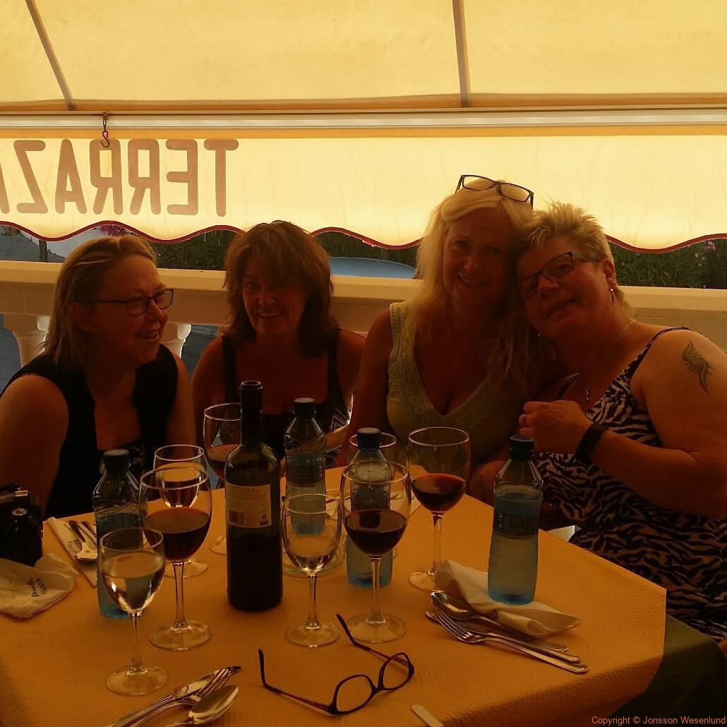 Ett gäng glada tjejer