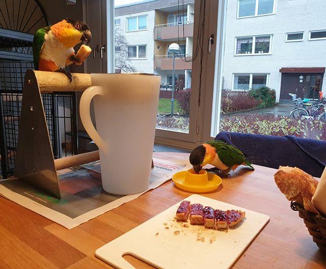 Frukost även för Jonsson.  Kurt på pinnen och Mannfred dricker råsaft.